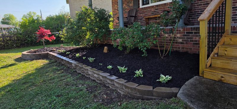 Landscape Design & Installation