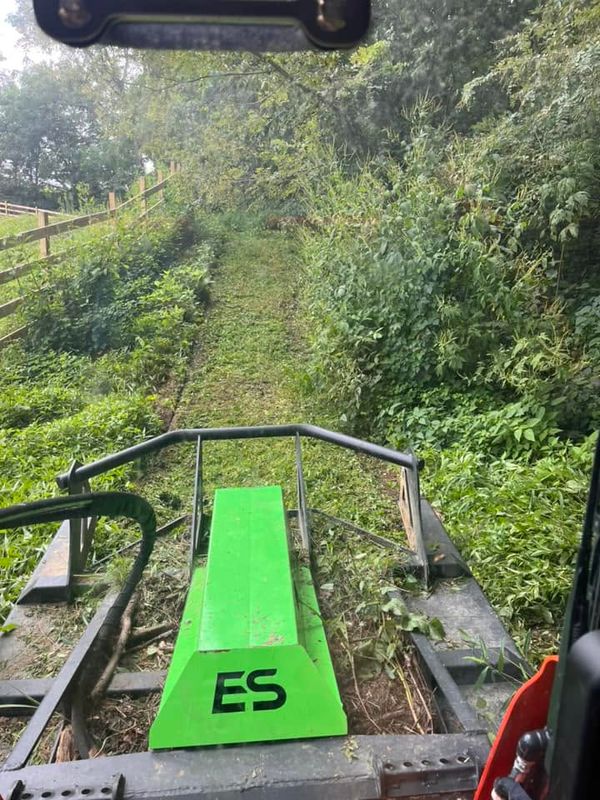 Land Clearing