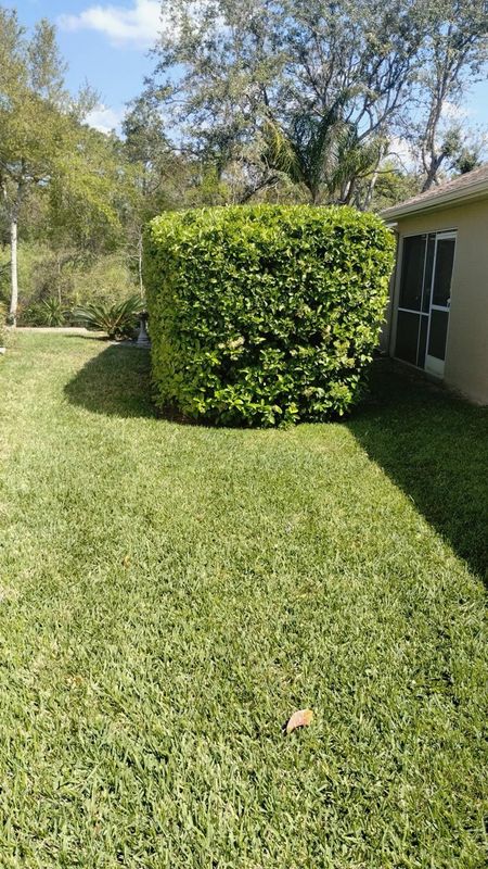 Lawn Care