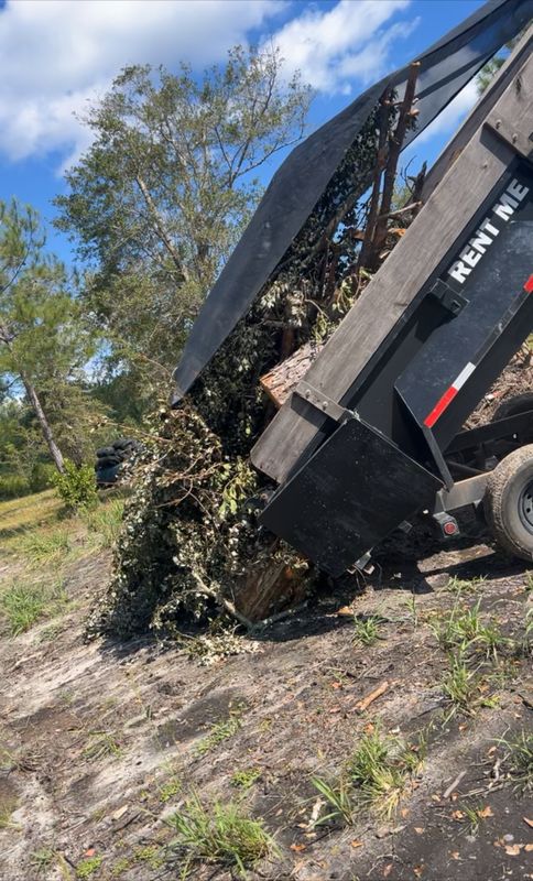 Tree Trimming & Removal