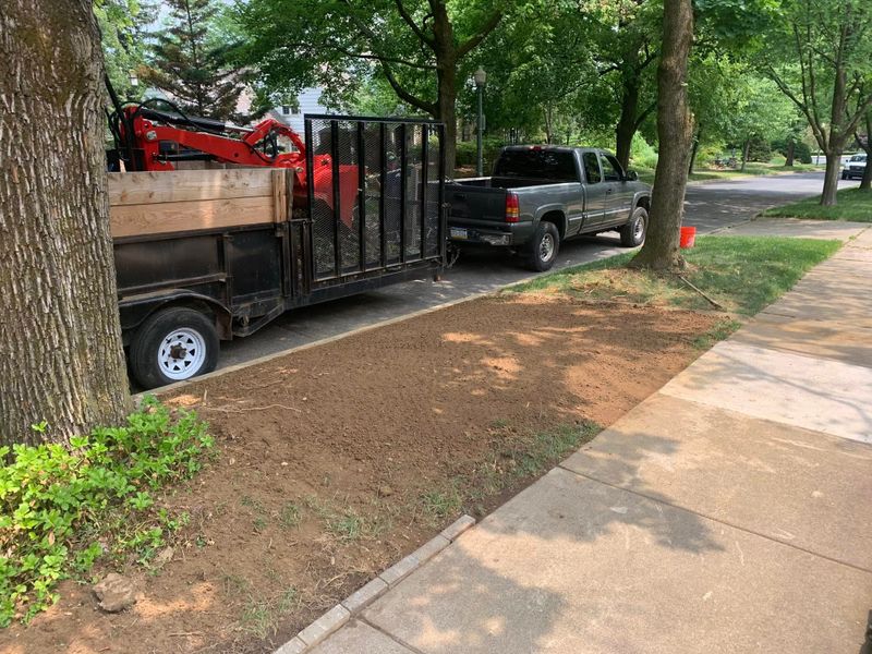 Landscaping