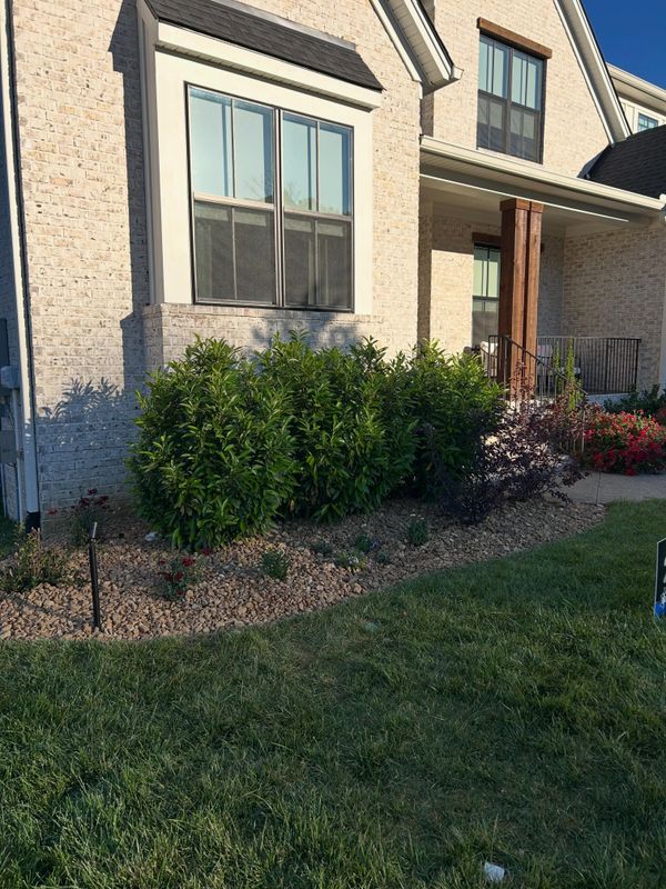 Lawn Maintenance