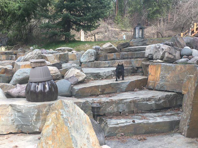 Landscaping and Rock Work