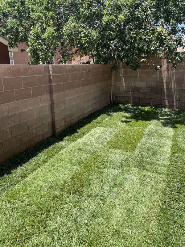 Residential Lawn Maintenance