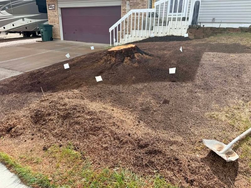 Stump Removal