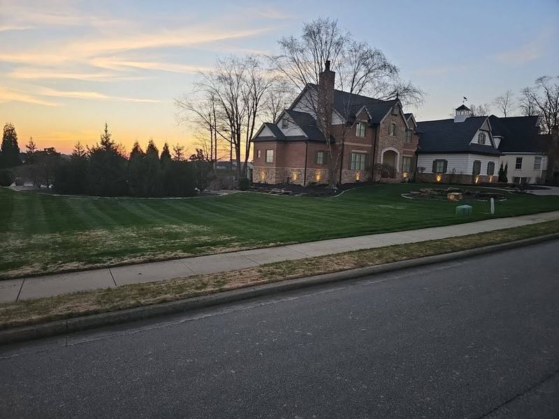 Lawn Maintenance Service
