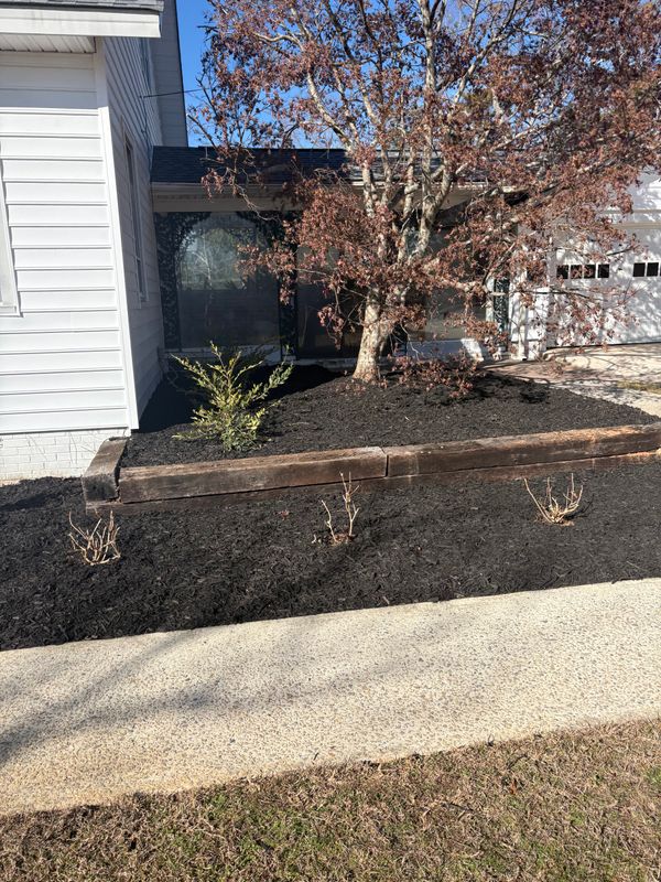 Landscape Design