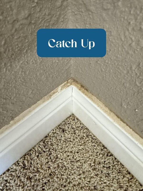 Top to Bottom Deep Clean