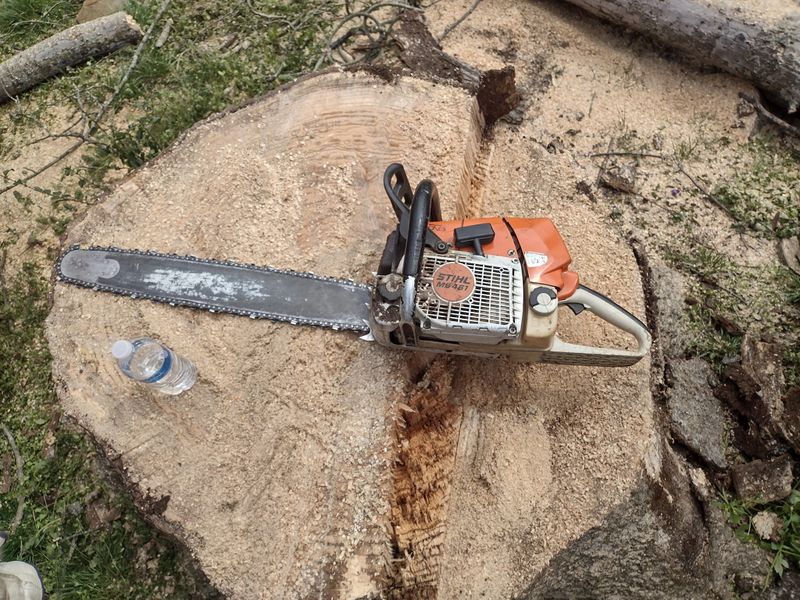 Stump Removal