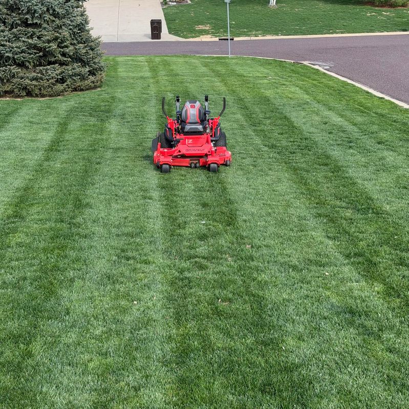Lawn Maintenance