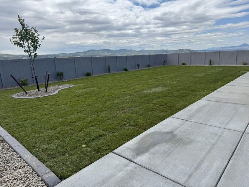 Landscaping