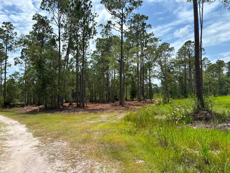 Land Clearing