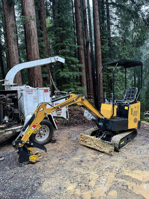 Tree Services
