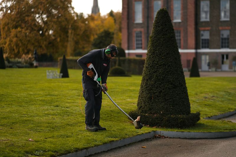Hedge Trimming