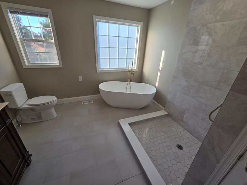 Bathroom Renovation