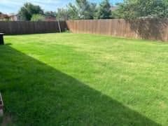 Garden Design