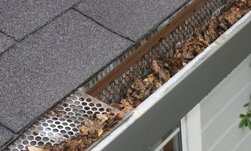 Gutter Cleaning