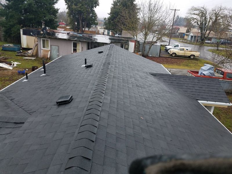 Shingle Roof Installation
