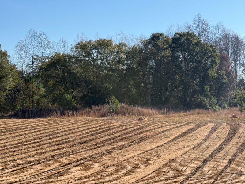 Land Clearing & Demolition