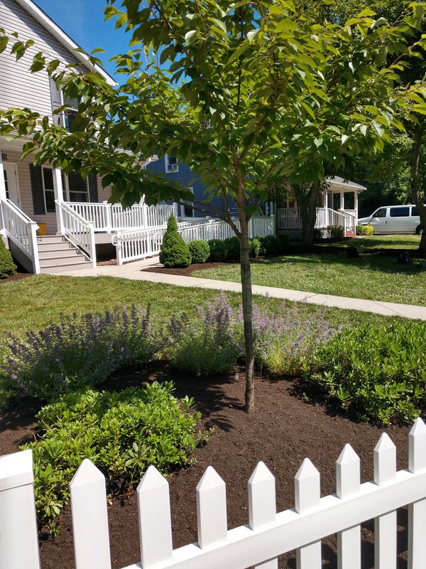 Plantings