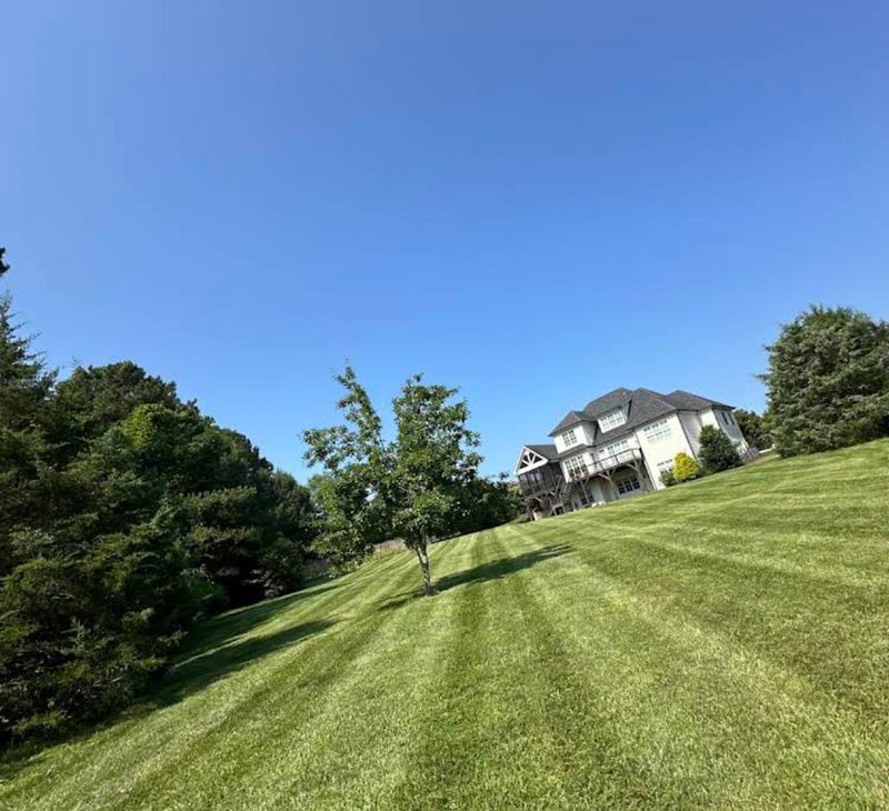 Lawn Mowing and Maintenance