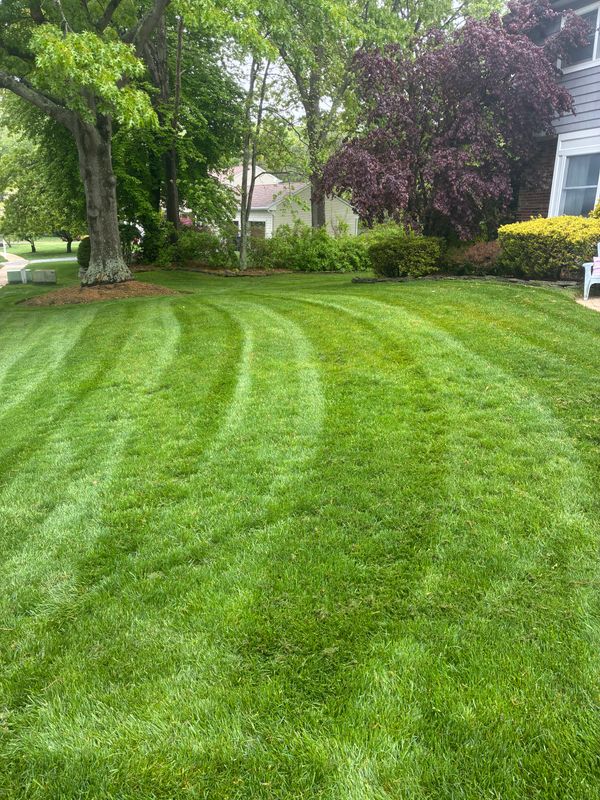 Lawn Maintenance