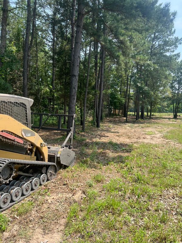 Forestry Mulching