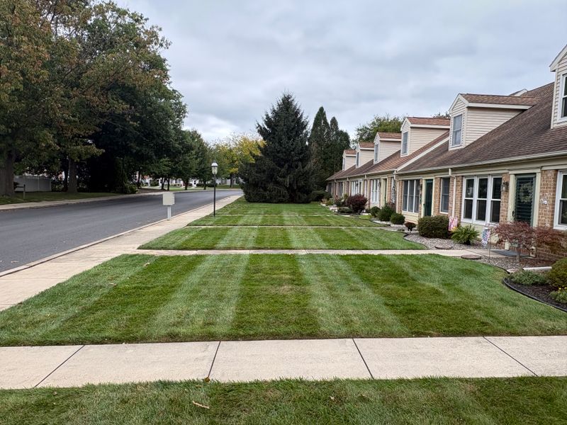 Mowing