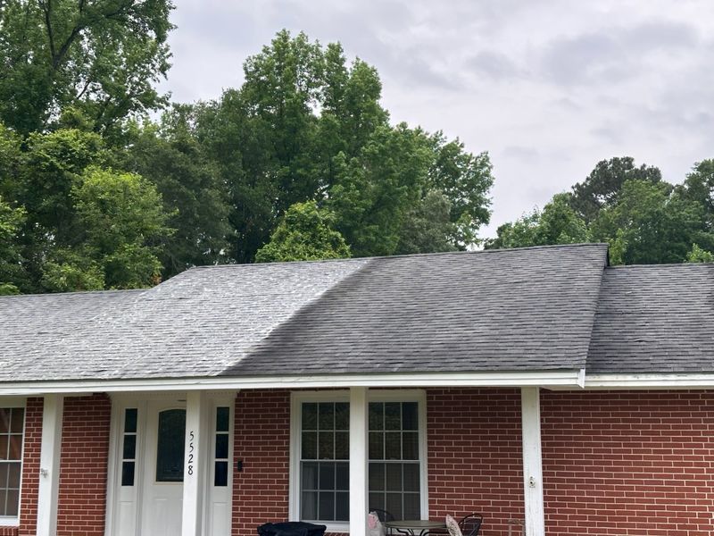 Roof Cleaning