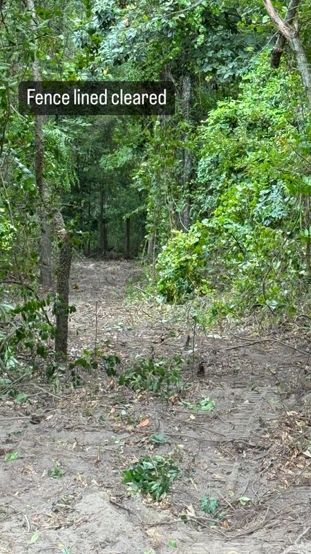 Land Managment 