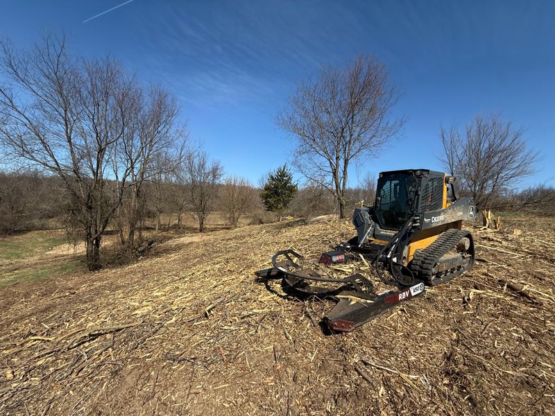 Forestry Mulching & Tree Removal