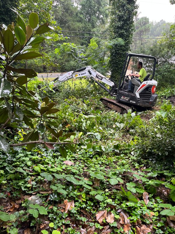 Landscaping