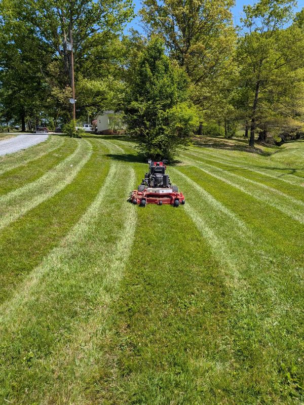Lawn Mowing and Maintenance