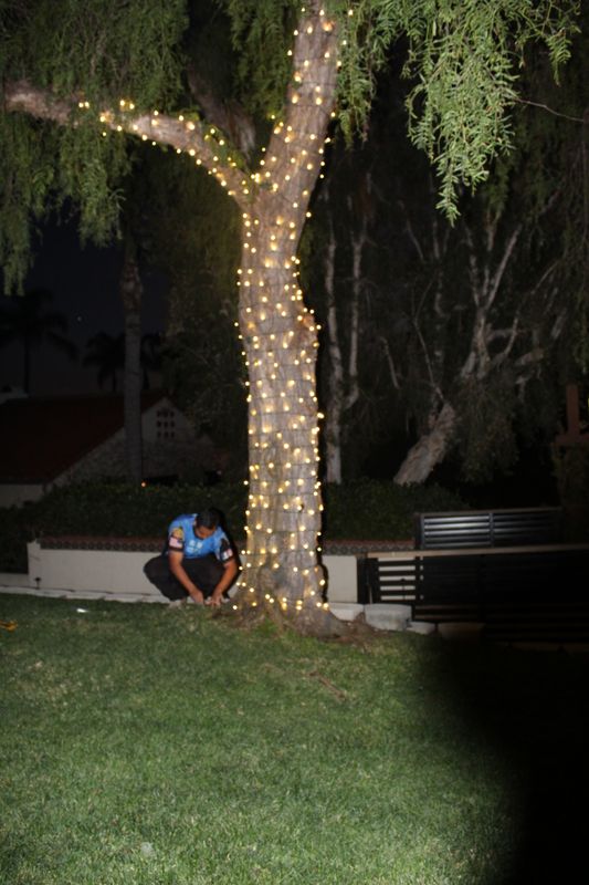 Holiday Lighting gallery