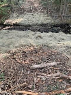 Land Clearing