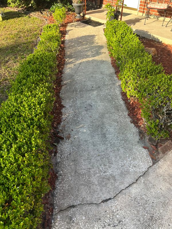 Driveway and Sidewalk Cleaning