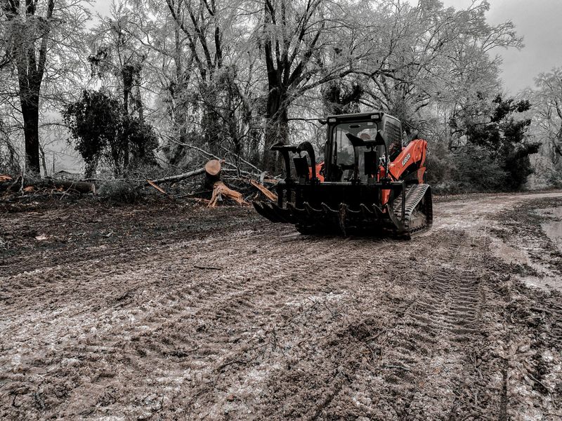 Brush cutting & Mulching