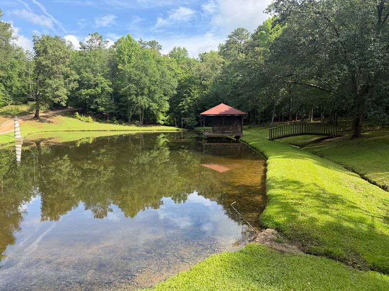 Lawn maintenance gallery