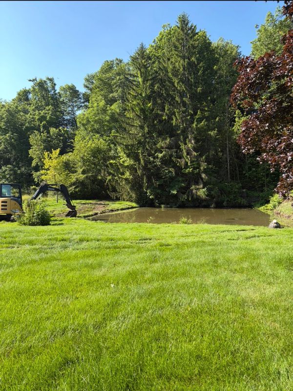 Land Services
