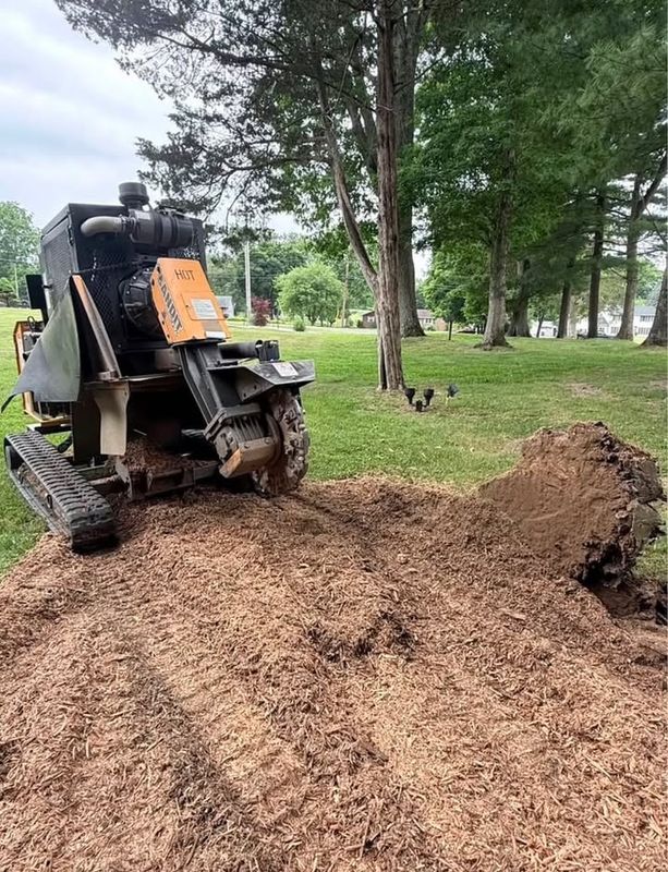 Stump Grinding