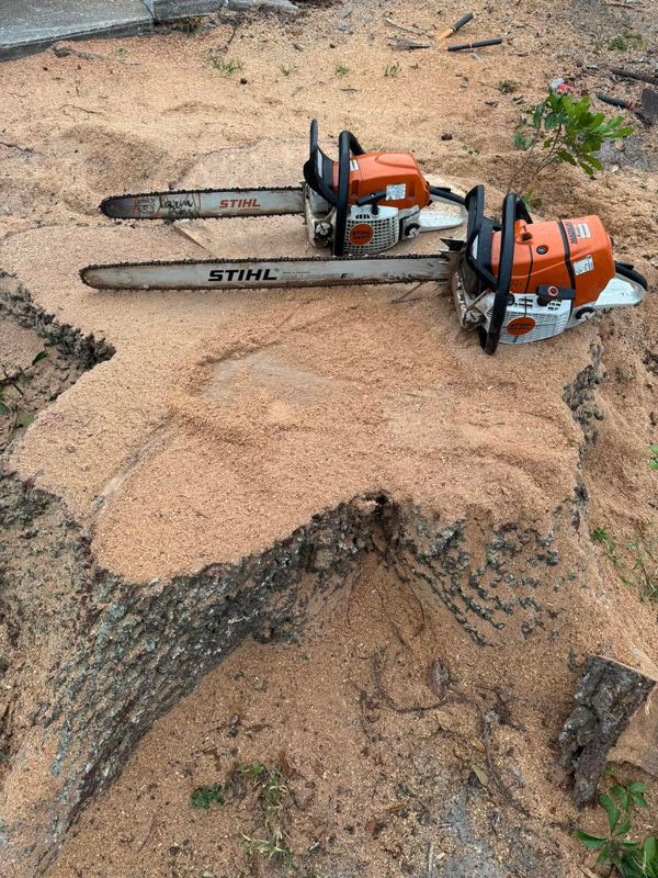 Tree Removal