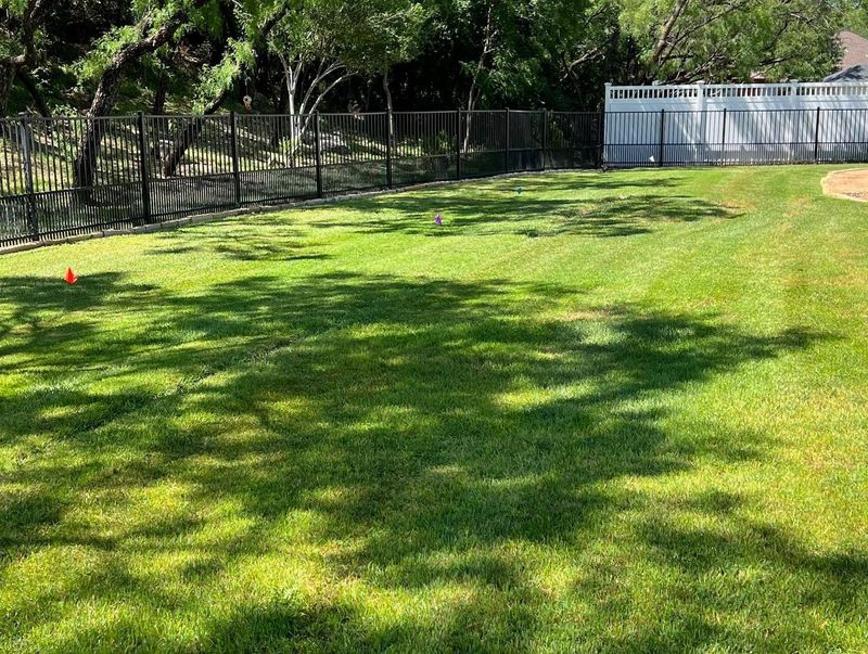 Sod Installation