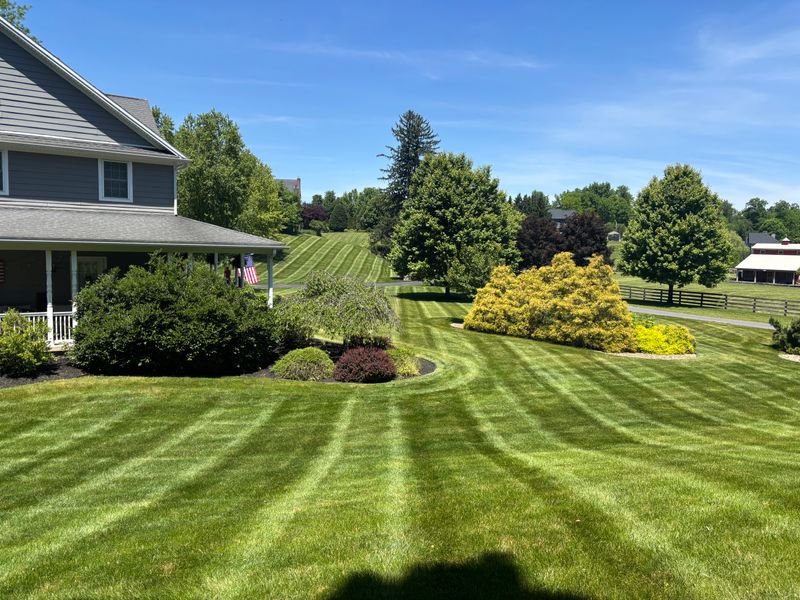 Lawn Mowing