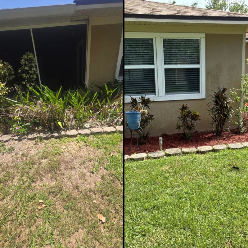 Lawn Care & Maintenance