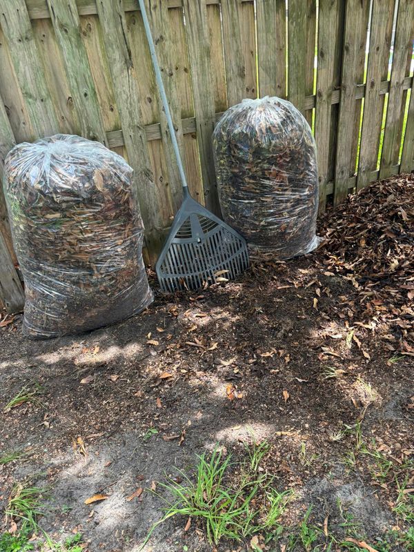 Fall Clean Up