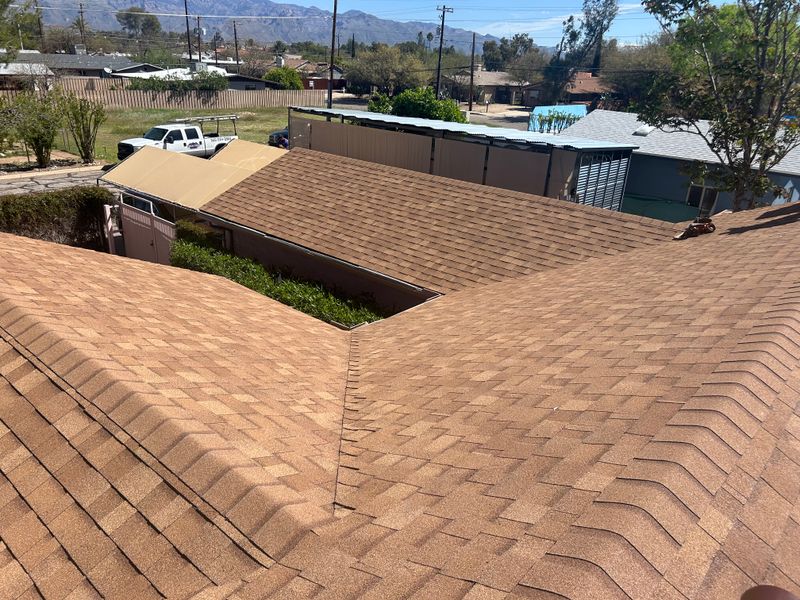 Shingles