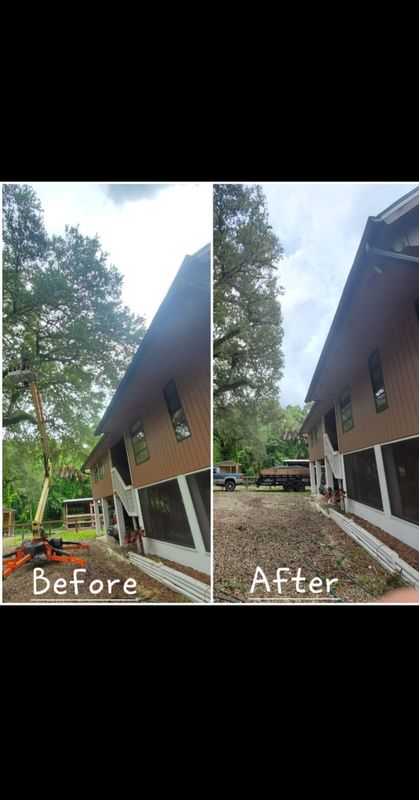Tree Trimming