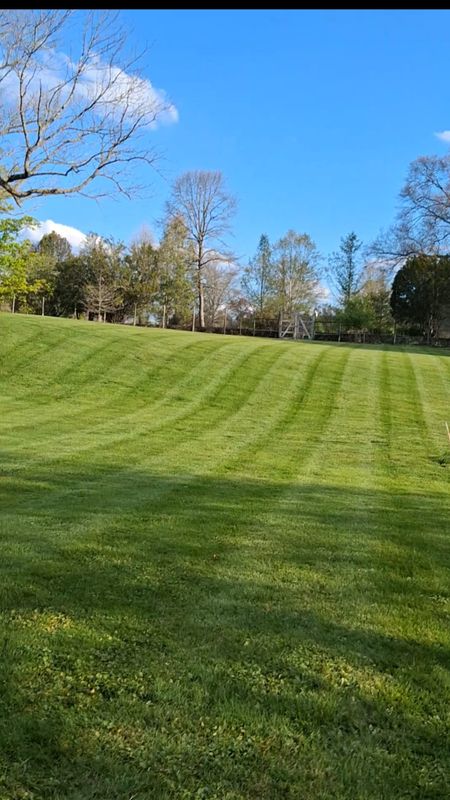 Garden Maintenance