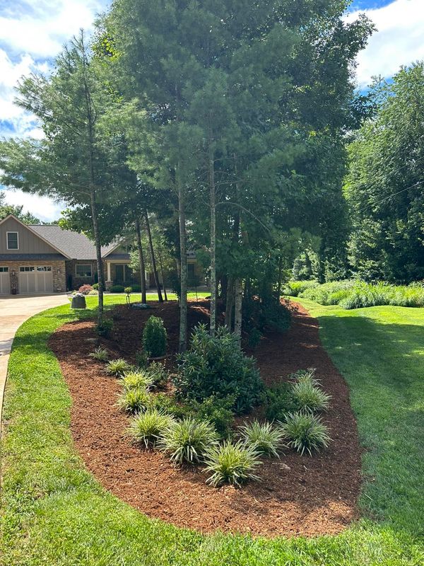 Landscaping 