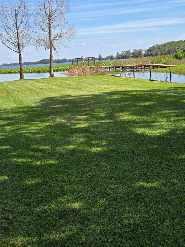 Lawn Care & Maintenance
